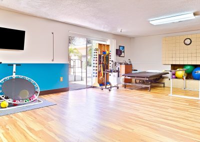physical therapy area