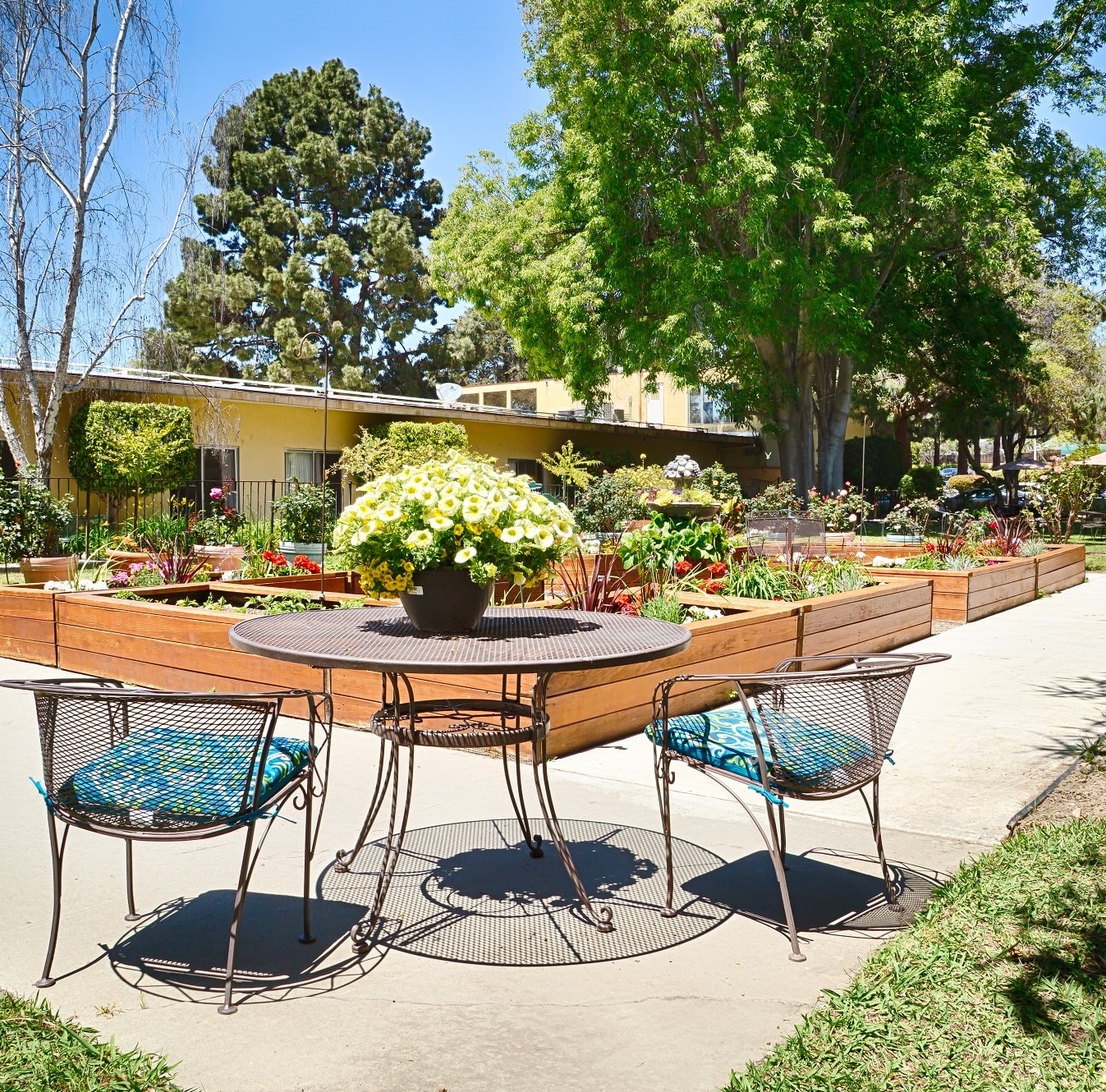 ventura post acute patio area